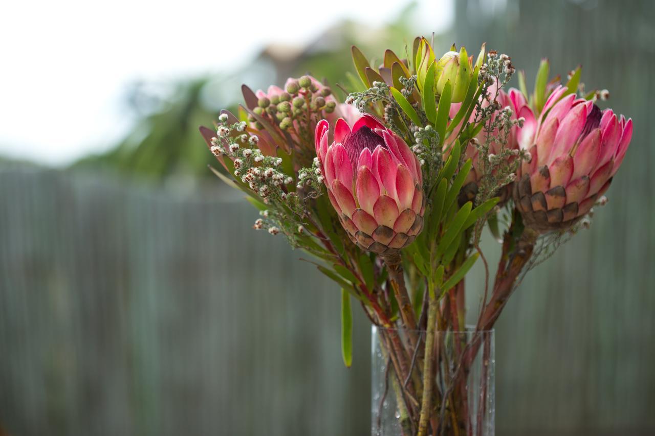 African Perfection 1 Jeffreys Bay Eksteriør bilde